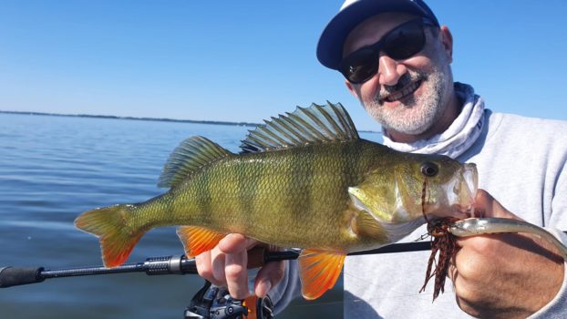 ZECK - Chatterbait - Bladed Jig 1/0 / 7g / Clear