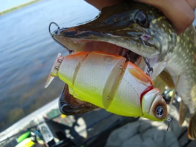 Wobler Shad Alive SS / 14,5 cm / 07 Pink Ayu