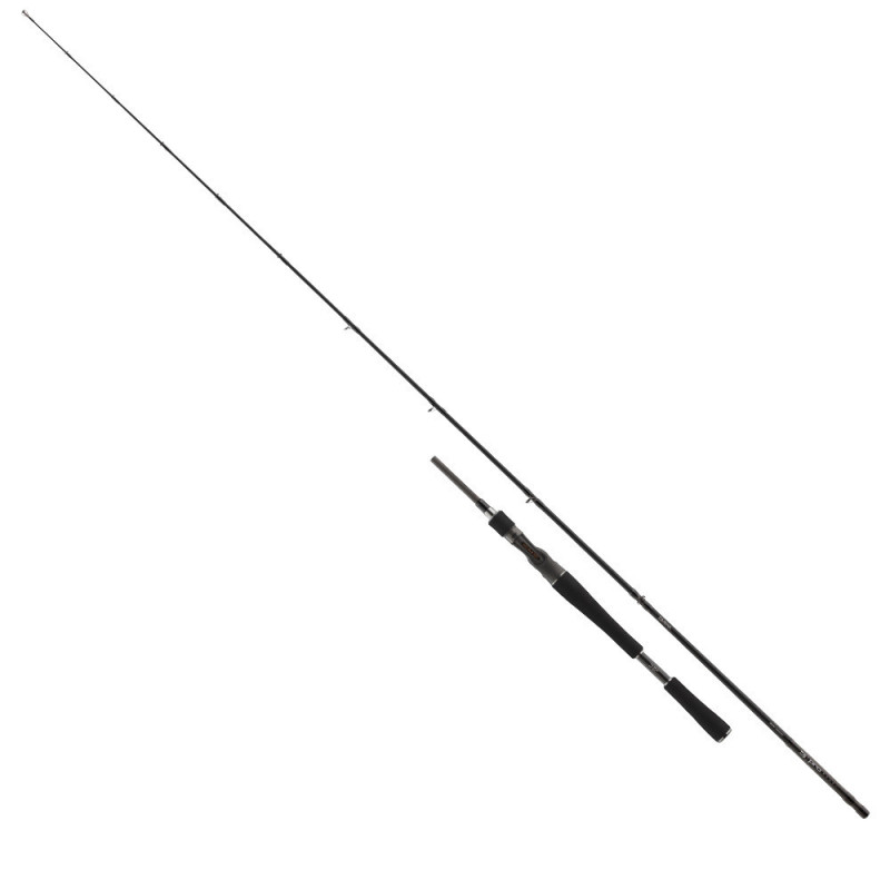 BAITCASTOVÝ PRUT DAIWA PRO STAFF PELAGIC 2,0 m / 30-80 g 