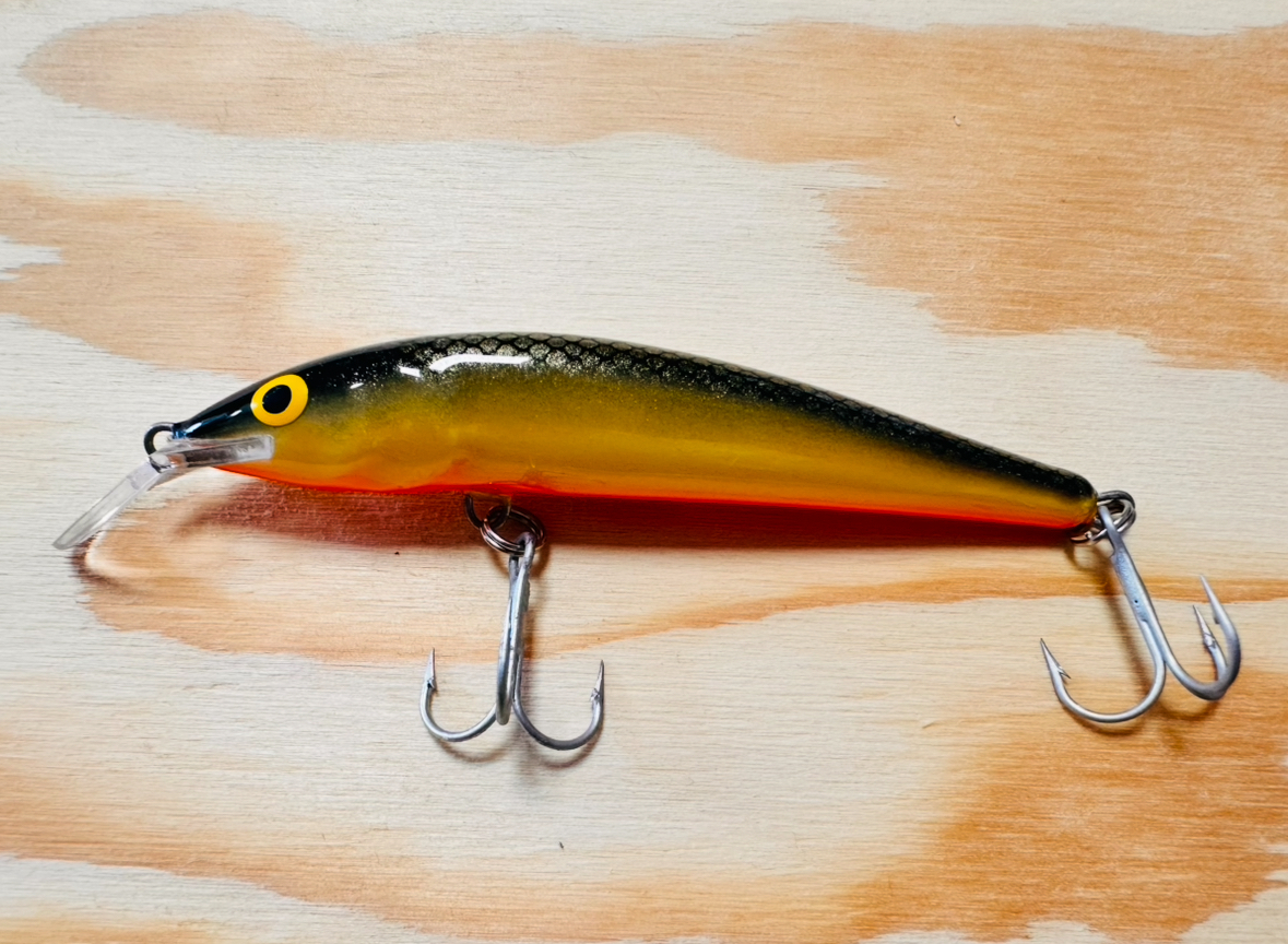 WOBLER SALMO STING GT S9F / 9cm / 10g 