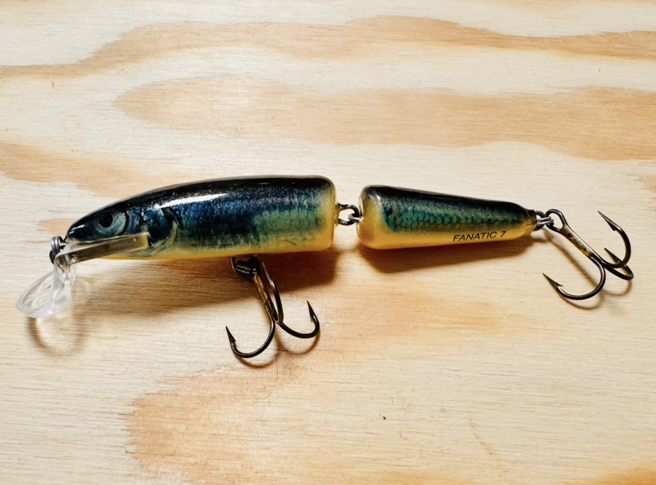 WOBLER SALMO FANTIC 7F RTR/T / 7cm / 7g 