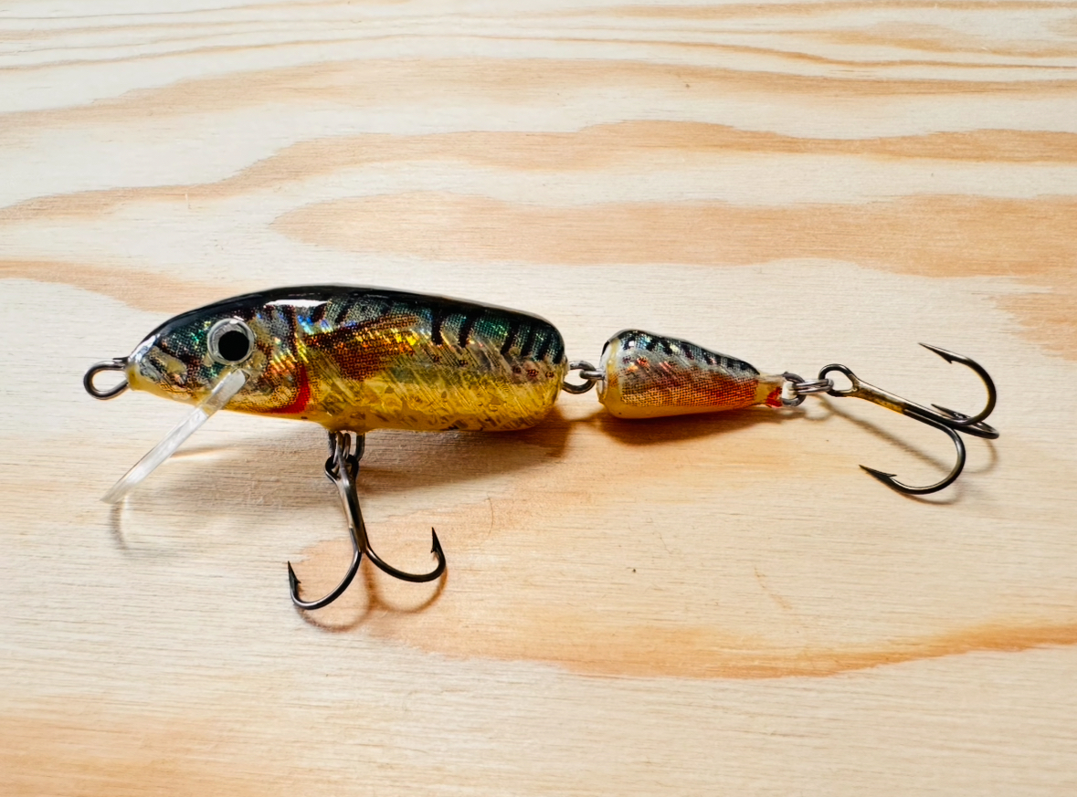 WOBLER JAXON JOINTED HOLO FL / 7,5 cm / 5g 