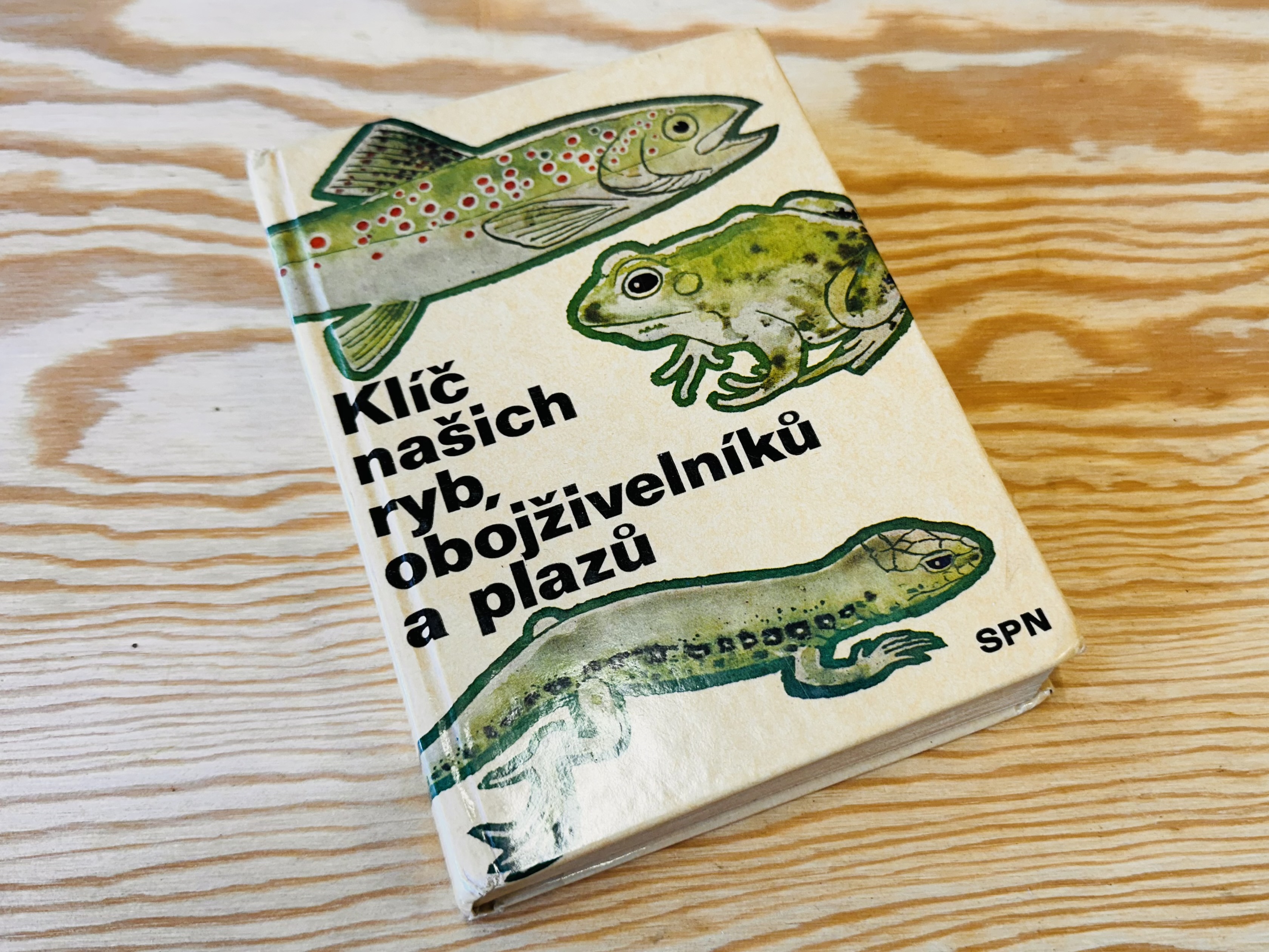 KNIHA KLÍČ NAŠICH RYB OBOJŽIVELNÍKŮ A PLAZŮ / SPN
